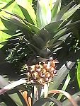     
: Photo0071.jpg
: 6
:	60.4 
ID:	10237033