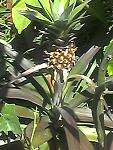     
: Photo0070.jpg
: 6
:	62.6 
ID:	10237034