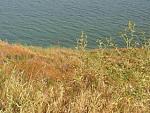     
: 20150829_171056_resized.jpg
: 33
:	48.1 
ID:	10237954