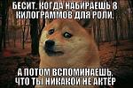     
: 11923225_1075959419088740_8191089592239337128_n.jpg
: 23
:	42.1 
ID:	10239341