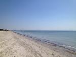     
: IMG_4994.jpg
: 35
:	105.2 
ID:	10240159
