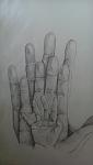     
: UNsQnuntY4A.jpg
: 10
:	27.9 
ID:	10242603