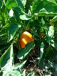     
: 20150831_131728.jpg
: 18
:	144.0 
ID:	10243455