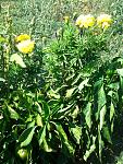     
: 20150831_131736.jpg
: 86
:	212.7 
ID:	10243461