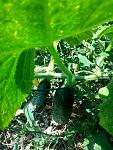     
: 20150831_131845.jpg
: 13
:	134.9 
ID:	10243463