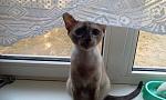     
: 2015-08-28 09.44.33.jpg
: 8
:	137.7 
ID:	10244500