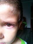    
: uploadfromtaptalk1441110563355.jpg
: 71
:	55.7 
ID:	10247501