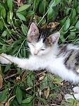     
: nBxlQ_Ee3x8 - копия.jpg
: 16
:	24.2 
ID:	10248616