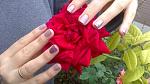     
: DSC_1777.jpg
: 5
:	122.1 
ID:	10249602