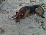     
: Фото2546.jpg
: 21
:	132.0 
ID:	10251262
