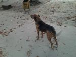     
: Фото2545.jpg
: 22
:	116.3 
ID:	10251263