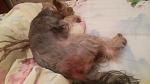     
: 20150904_000651.jpg
: 26
:	74.8 
ID:	10258368
