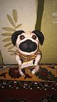     
: DSC_0136.jpg
: 10
:	77.2 
ID:	10261367