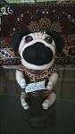     
: DSC_0137.jpg
: 9
:	66.3 
ID:	10261368