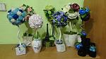     
: DSC00213.jpg
: 13
:	125.8 
ID:	10262761