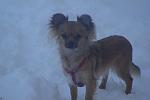     
:  2009,  2009-2010 317.jpg
: 38
:	45.3 
ID:	1026468