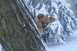     
:  2009,  2009-2010 347.jpg
: 33
:	163.1 
ID:	1026486