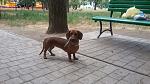     
: 4YRi5e97nGs-1.jpg
: 3
:	121.9 
ID:	10268355