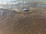     
: IMG_3781.jpg
: 92
:	274.5 
ID:	10271608