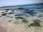     
: odessa august 2015 195.jpg
: 42
:	250.2 
ID:	10272473