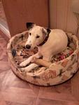     
: 20141023_132320 - копия.jpg
: 19
:	27.0 
ID:	10272578