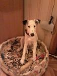     
: 20141023_132254 - копия.jpg
: 18
:	27.2 
ID:	10272581
