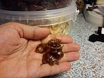     
: 20150909_154900.jpg
: 13
:	115.0 
ID:	10280829