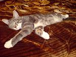     
: DSC01704.jpg
: 53
:	154.3 
ID:	1028454