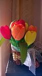     
: WP_20150907_10_04_18_Pro.jpg
: 9
:	59.5 
ID:	10286703