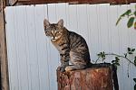     
: DSC_0185.jpg
: 9
:	111.4 
ID:	10290358
