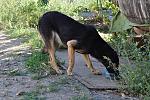     
: DSC_0208.jpg
: 7
:	235.2 
ID:	10290374