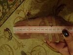     
: DSC04018.jpg
: 21
:	83.5 
ID:	10294729