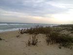     
: Фото0812.jpg
: 315
:	112.4 
ID:	10295794