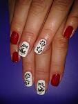     
: hBYh4Ck5B2U.jpg
: 8
:	114.3 
ID:	10304141