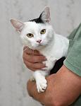     
: DSC_0909-1_web.jpg
: 10
:	62.1 
ID:	10316724