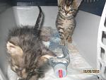     
: IMG_2623.jpg
: 8
:	107.9 
ID:	10324893
