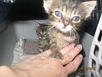     
: IMG_2626.jpg
: 8
:	102.2 
ID:	10324895