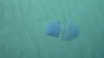     
: IMG_4933.jpg
: 23
:	43.7 
ID:	10331637