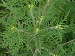     
: 10190_da995e1b.jpg
: 9
:	222.6 
ID:	10339639