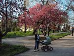     
: DSC02672.jpg
: 11
:	303.8 
ID:	10339753