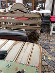     
: image-24-09-15-01-14-1.jpg
: 137
:	69.8 
ID:	10343837