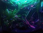     
: 20150924_155950_1.jpg
: 13
:	151.1 
ID:	10344699