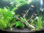     
: 20150924_164737.jpg
: 15
:	189.0 
ID:	10344834