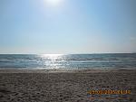     
: DSCN2403.JPG
: 24
:	140.2 
ID:	10347927