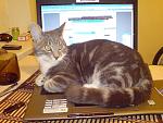     
: DSC01732.jpg
: 19
:	152.4 
ID:	1035051