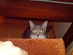     
: DSC01742.jpg
: 18
:	129.0 
ID:	1035054