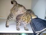     
: uqYPsCj6NdE.jpg
: 30
:	47.0 
ID:	10350552