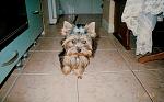     
: image-27-09-15-10-25-1.jpeg
: 10
:	73.0 
ID:	10354034