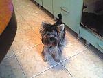     
: image-27-09-15-10-25-2.jpeg
: 12
:	87.3 
ID:	10354038