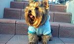     
: image-27-09-15-10-25-6.jpeg
: 16
:	51.7 
ID:	10354054